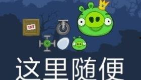 吃瓜喵娱乐速报,娱乐圈最新热点，揭秘明星幕后故事  第2张